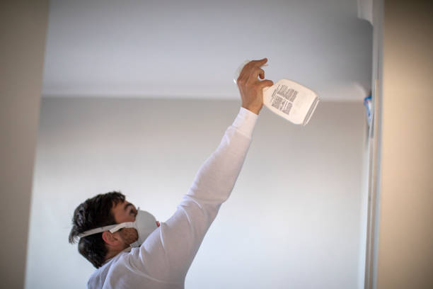 Best Mold Damage Repair  in Oshkosh, WI