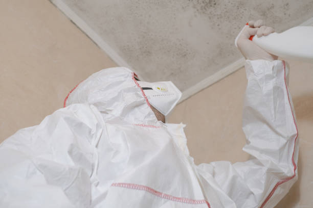 Best Residential Mold Removal  in Oshkosh, WI